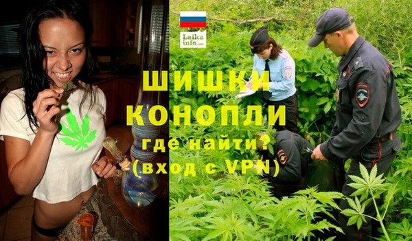 стаф Балахна