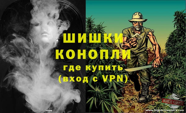 стаф Балахна