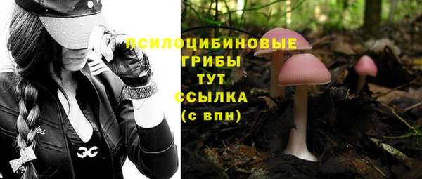 эйфоретик Баксан