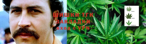 стаф Балахна