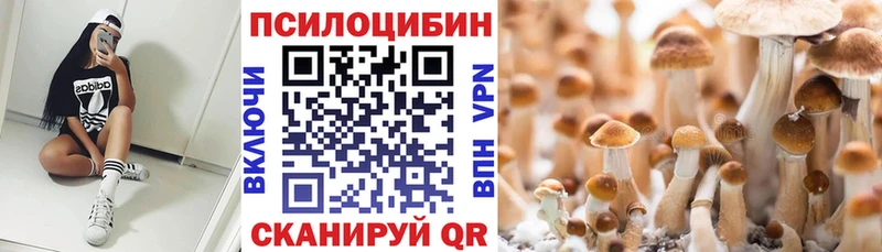 OMG ССЫЛКА  Голицыно  Псилоцибиновые грибы MAGIC MUSHROOMS  купить наркоту 
